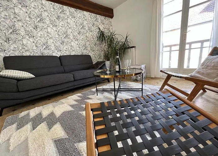 Apartment Spacieuse Maison De Avec Garage Prive Ferme Ay-Champagne